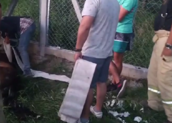 Potrillo apareció en el balneario “el Baden” del Volcán, quebrado. Fue rescatado por ASOECO y bomberos. Solicitan ayuda.