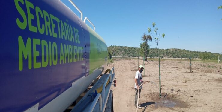 “Más Árboles, Más Vida” llegó al perilago del dique Cruz de Piedra