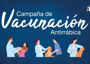 La Municipalidad de Juana Koslay iniciará la campaña de vacunación antirrábica gratuita para perros y gatos