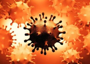 Confirman circulación comunitaria de la cepa Manaos en la provincia de San Luis