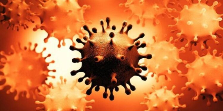 Confirman circulación comunitaria de la cepa Manaos en la provincia de San Luis