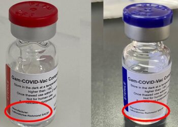 Sputnik V.I.D.A.: así se llamará la vacuna rusa que se fabricará en Argentina