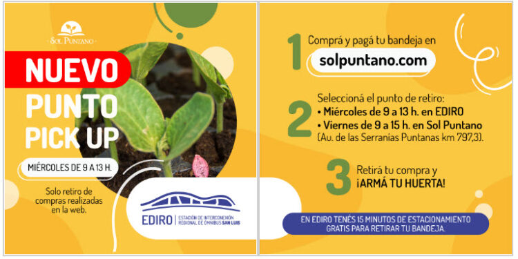 Los clientes de “Sol Puntano” podrán retirar en la EDIRO las bandejas hortícolas para huertas familiares