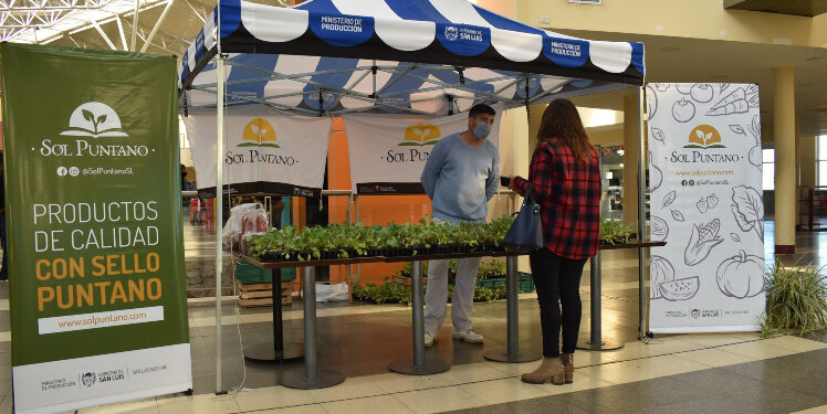 Sol Puntano suspende el retiro de productos en la EDIRO y la venta directa en el predio