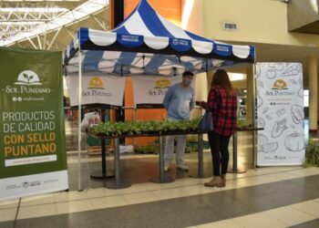 Los productos de “Sol Puntano” en la EDIRO se retiran según terminación de DNI