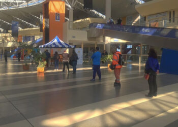 Bolsón de verduras, la nueva opción de “Sol Puntano” para comprar online y retirar los miércoles en la EDIRO