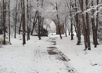 Pronóstico para mañana domingo