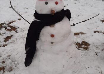 Los muñecos de nieve fueron furor