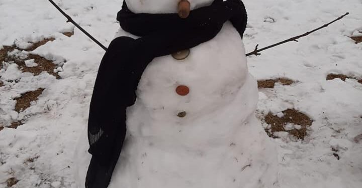 Los muñecos de nieve fueron furor