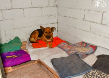 Reacondicionan la canera de Juana Koslay