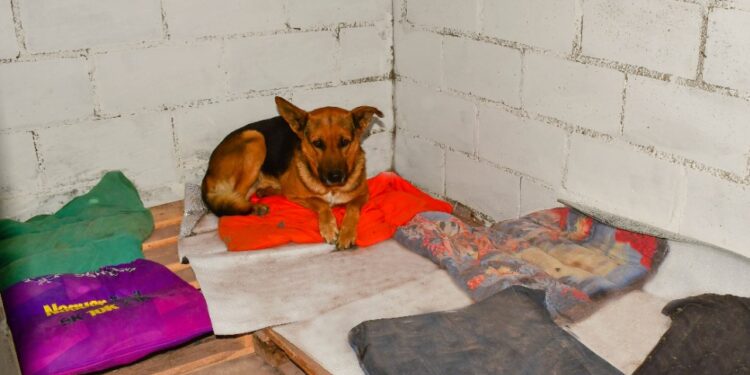 Reacondicionan la canera de Juana Koslay