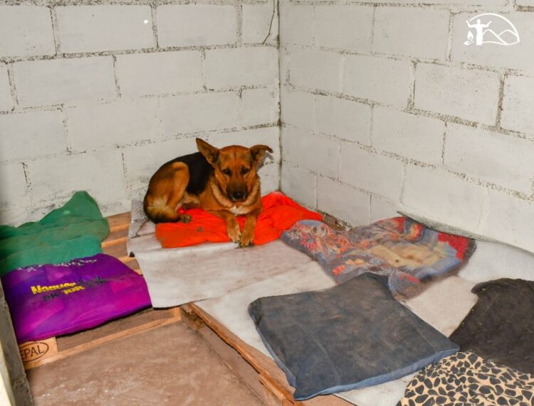 Reacondicionan la canera de Juana Koslay