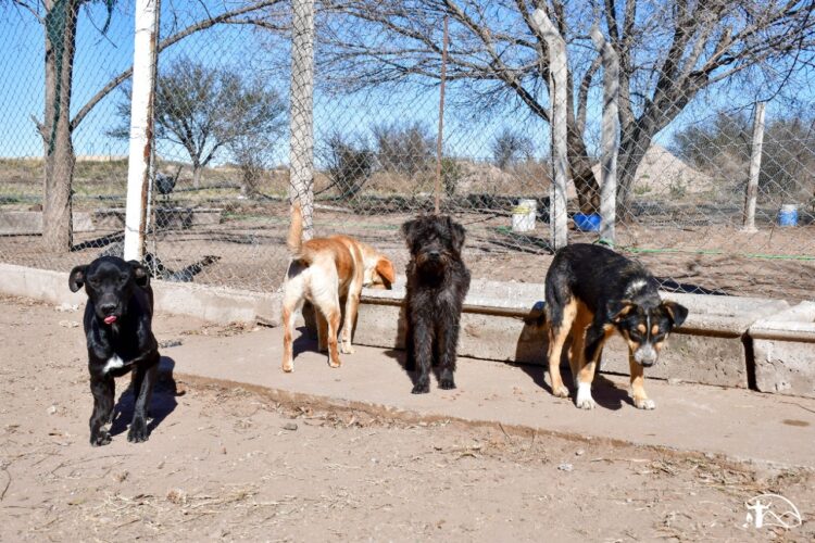 Reacondicionan la canera de Juana Koslay