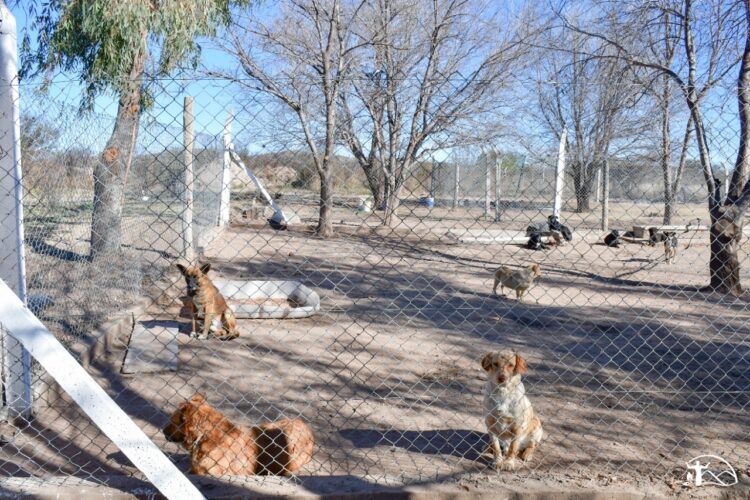 Reacondicionan la canera de Juana Koslay