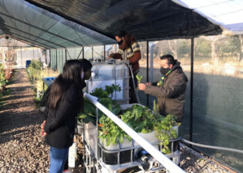 Docentes de la Escuela Generativa “Luis B. Lusquiños” visitaron el Vivero Cruz de Piedra