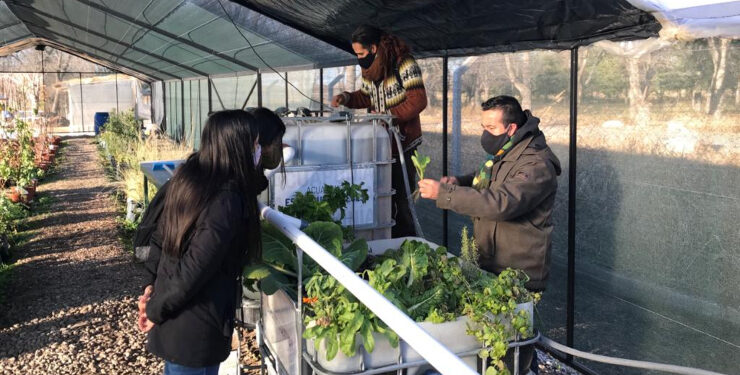 Docentes de la Escuela Generativa “Luis B. Lusquiños” visitaron el Vivero Cruz de Piedra