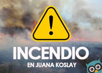 Incendio de malezas en zona sur de nuestra ciudad