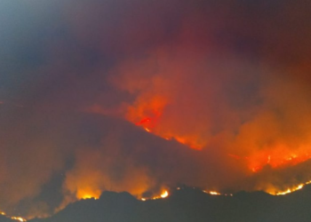 El Intendente de Potrero ratifica denuncia por los incendios forestales en la zona serrana