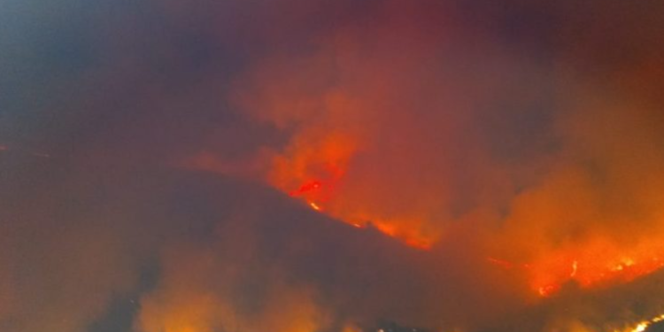 El Intendente de Potrero ratifica denuncia por los incendios forestales en la zona serrana