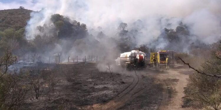 INCENDIO EN POTRERO DE LOS FUNES