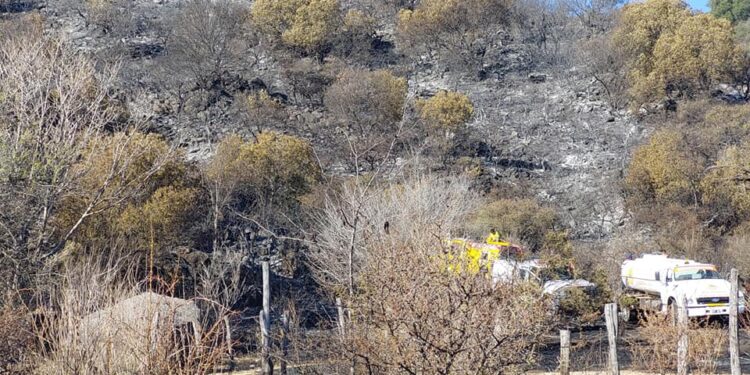 Lo que queda después del fuego