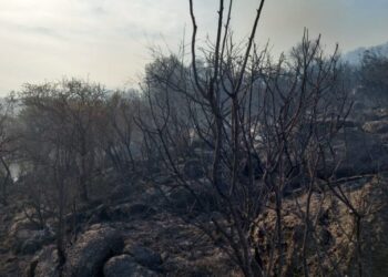 Controlaron el incendio en Potrero de los Funes