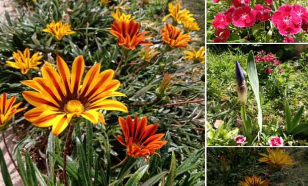 Bienvenida PRIMAVERA!!