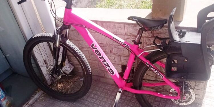 Recuperaron una bicicleta sustraída en el barrio Gregorio Vivas