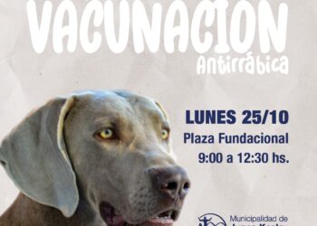 Campaña de vacunación gratuita antirrábica