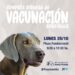 Campaña de vacunación gratuita antirrábica