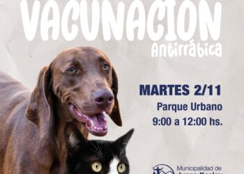 Continúa la campaña de vacunación gratuita antirrábica