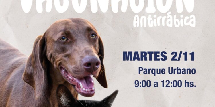 Continúa la campaña de vacunación gratuita antirrábica