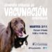 Continúa la campaña de vacunación gratuita antirrábica