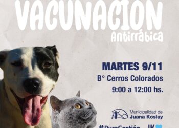 La Campaña de vacunación gratuita antirrábica estará en el barrio Cerros Colorados