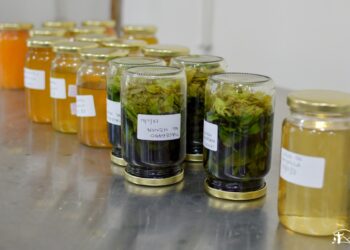 El taller de licores de la escuela de Oficios Municipal finaliza con producciones propias