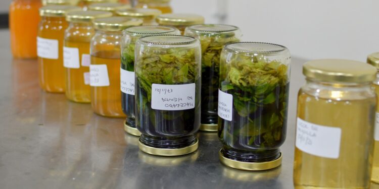 El taller de licores de la escuela de Oficios Municipal finaliza con producciones propias