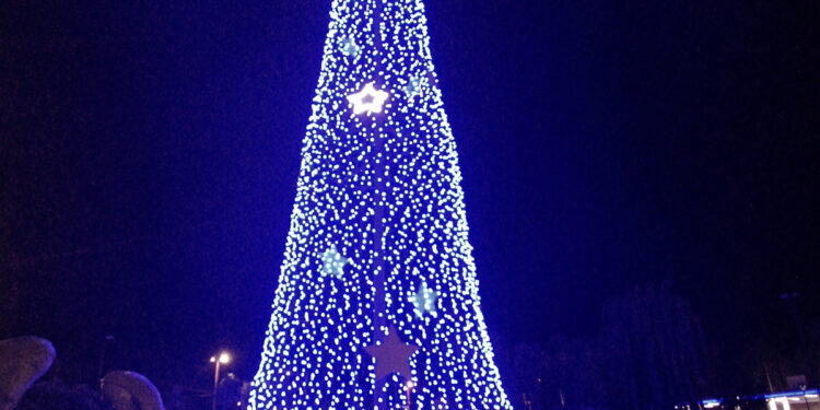 El árbol de tus sueños fue encendido