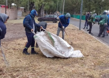 Tareas de desmalezado y recolección de verdes en distintos puntos de la ciudad