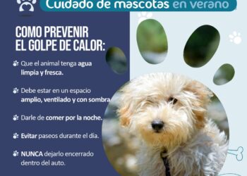 Recomendaciones de la Municipalidad de Juana Koslay en el cuidado de mascotas ante el golpe de calor