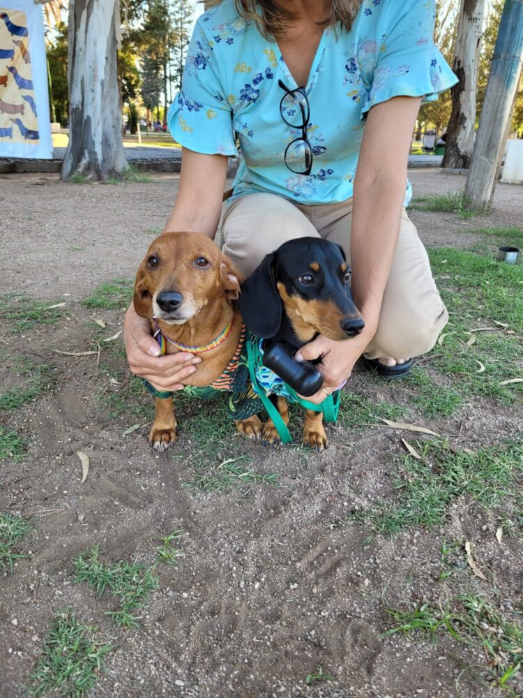 Los une el amor por los perros, pero no cualquier perro.