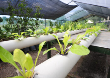 Inauguraron la Granja Integral Agroecológica en Cruz de Piedra