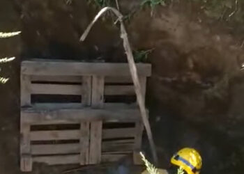 El Volcán: Bomberos rescataron un perro que había caído en un pozo