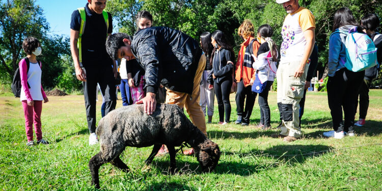 La Granja Integral Agroecológica ya recibió la visita de la primera escuela: hay más de 60 interesadas