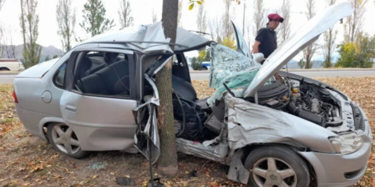 Chocó contra un árbol en autopista Los Puquios