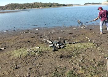 San Luis Agua trabaja en la limpieza del dique Cruz de Piedra