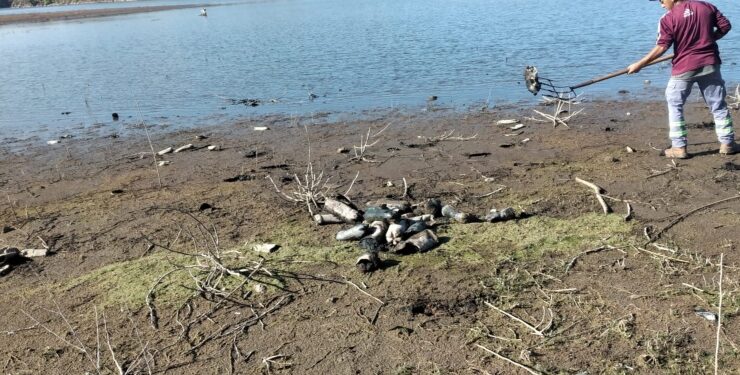 San Luis Agua trabaja en la limpieza del dique Cruz de Piedra