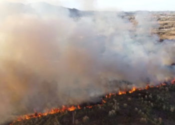 Controlaron un incendio en cercanías al Hospital “Ramón Carrillo”