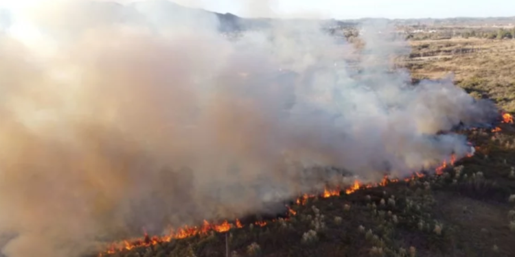 Controlaron un incendio en cercanías al Hospital “Ramón Carrillo”
