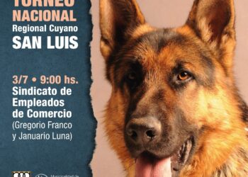 Los fanáticos de los ovejeros alemanes tienen cita en el Sindicato de Empleados de Comercio