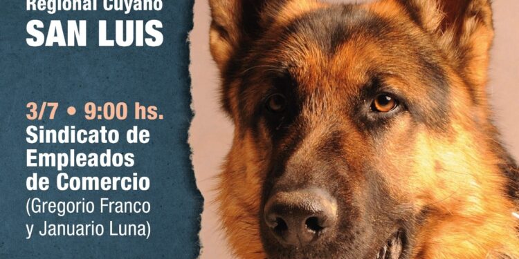 Los fanáticos de los ovejeros alemanes tienen cita en el Sindicato de Empleados de Comercio